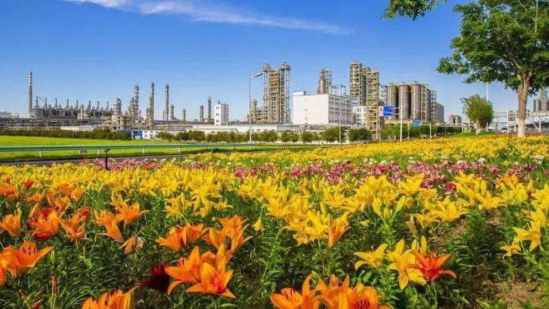 大连化工原料定制加工：揭秘定制化解决方案的奥秘**