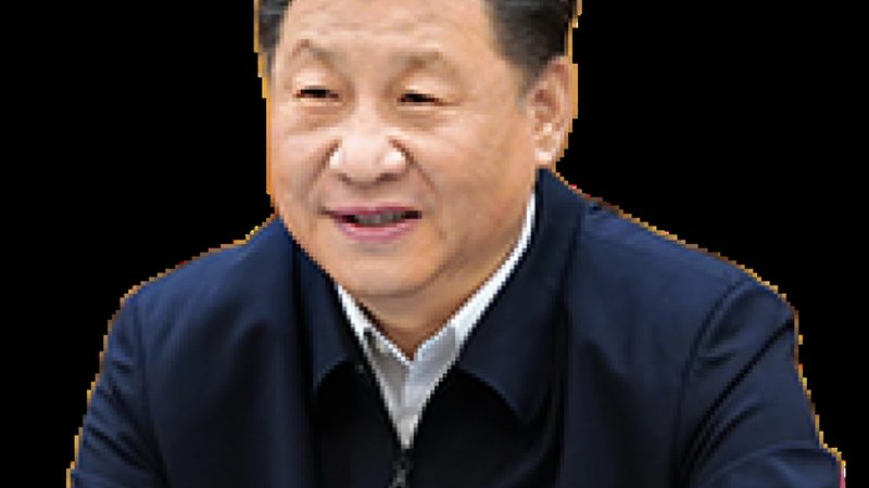 增稠剂与稳定剂：揭秘其优缺点，助力材料选择**