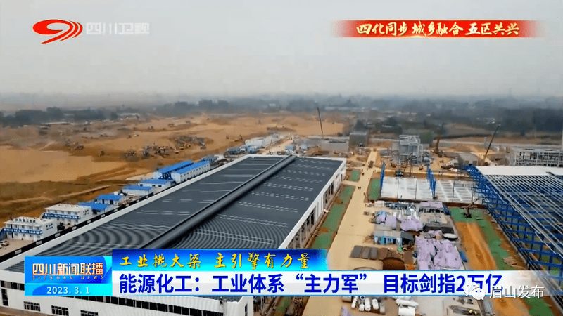 工业添加剂型号规格，如何准确识别与选择？**